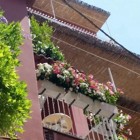 La Tartana 3* Positano