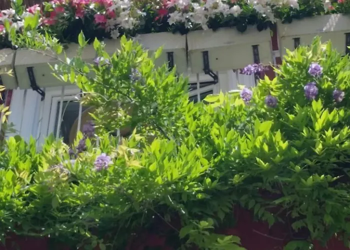 La Tartana Hotel Positano